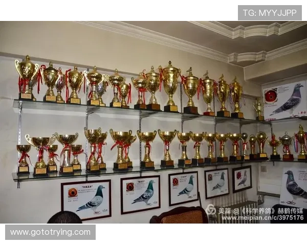 纵览百年风云激荡的世界体育历史回顾与传奇瞬间发展脉络与战史全 - 副本 - 副本 (2) - 副本