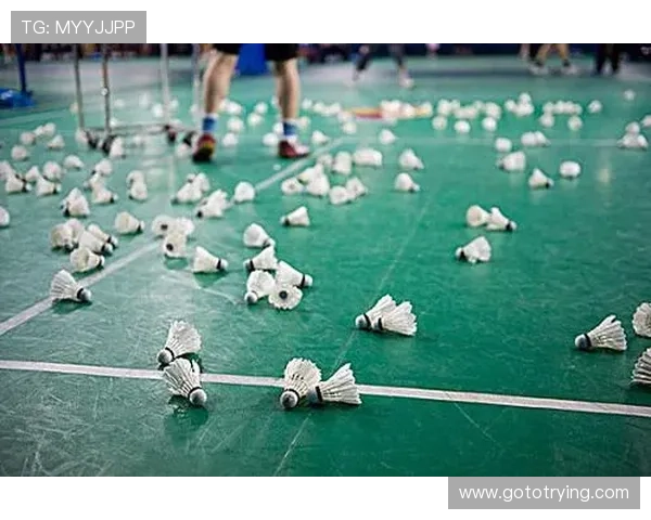 羽毛球世界排名风云变幻与顶尖高手争锋全景解析观察与未来格局展望 - 副本 (4) - 副本 羽毛球世界排名风云变幻与顶尖高手争锋全景解析观察与未来格局展望 - 副本 (4) - 副本