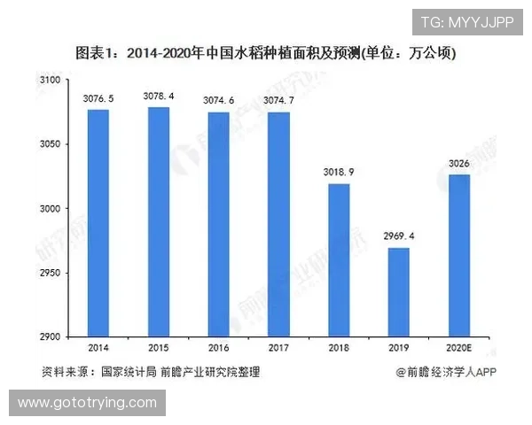 聚焦体育产业变革浪潮下的资本布局与创新发展新动向全球态势前瞻 - 副本 - 副本 (4) - 副本